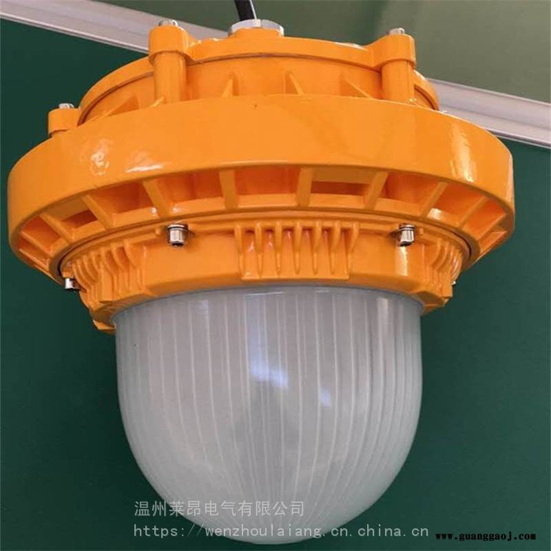 ZS-GF410LED平台灯_LED防眩泛光灯图2