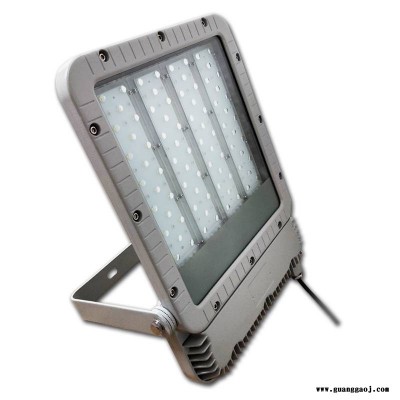 华荣RLEFL319-XL200W固定式led灯具 工程照明防爆投光灯120/150W