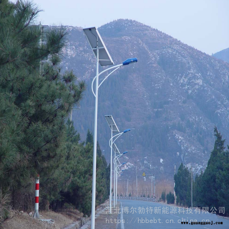 太阳能路灯 价格 河北 宁晋工业园区 专用市电led路灯 广场灯 投光灯 中华灯图3