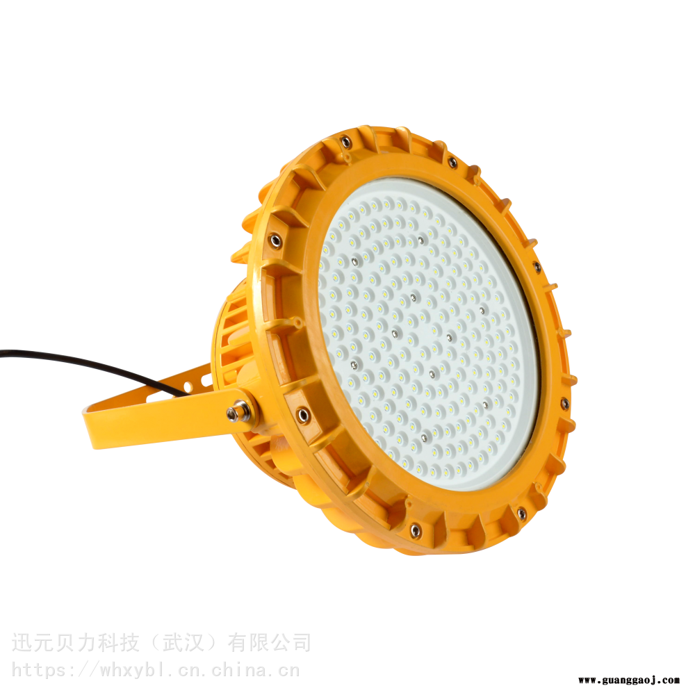 BLC8250-50W防爆灯-免维护防爆BLC8250-100W-LED防爆泛光灯150W图2