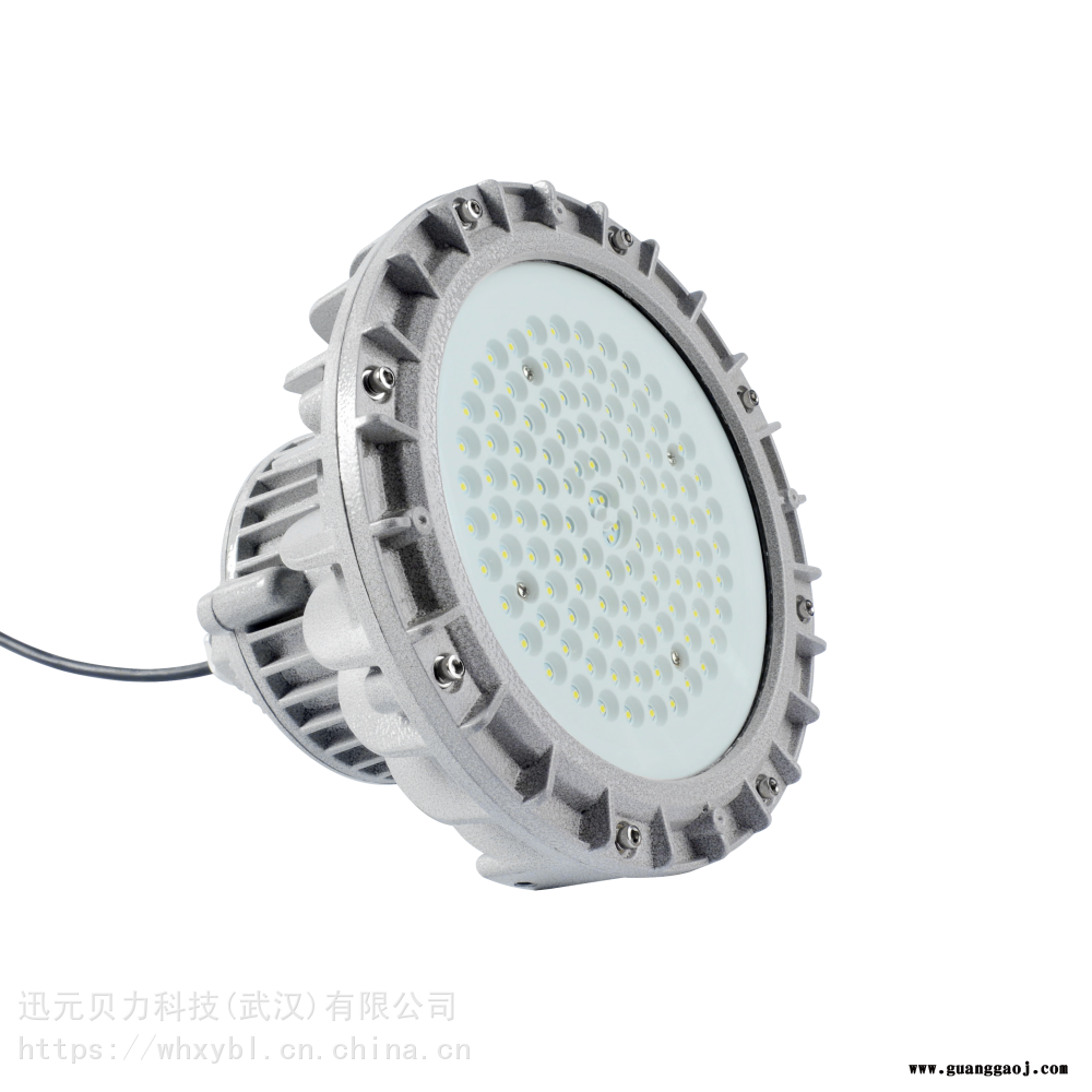 ZBD104-150W支架式制药厂防爆泛光灯图1