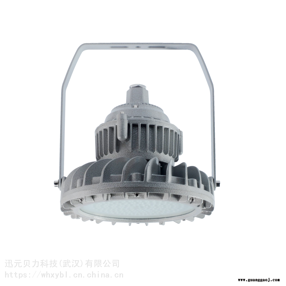 ZBD104-150W支架式制药厂防爆泛光灯图2