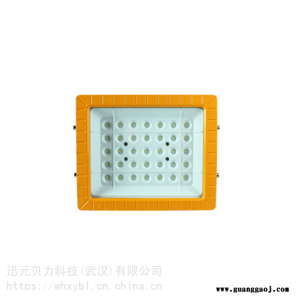 WHD101-100W支架式防爆泛光灯-WHD101-200W护栏式防爆应急灯图3