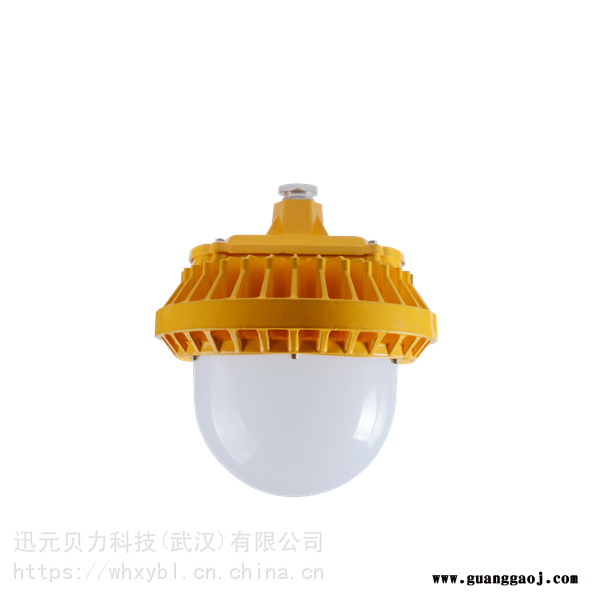WHD101-100W支架式防爆泛光灯-WHD101-200W护栏式防爆应急灯图2