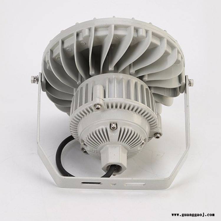 加油站厂房户外防爆投光灯应急泛光灯100W200W防爆灯图2