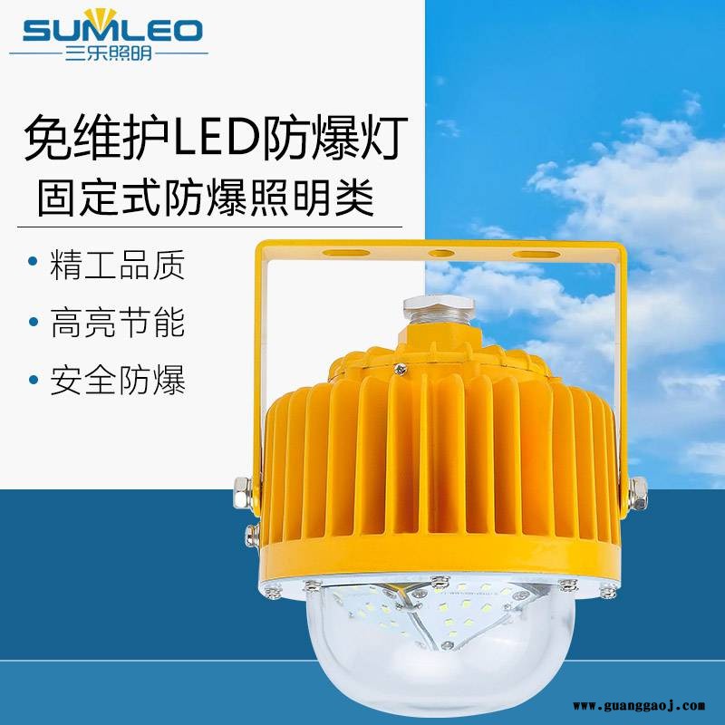 led防爆灯工厂应急照明灯 可定制 加油站防爆灯仓库泛光灯 防爆灯具图2