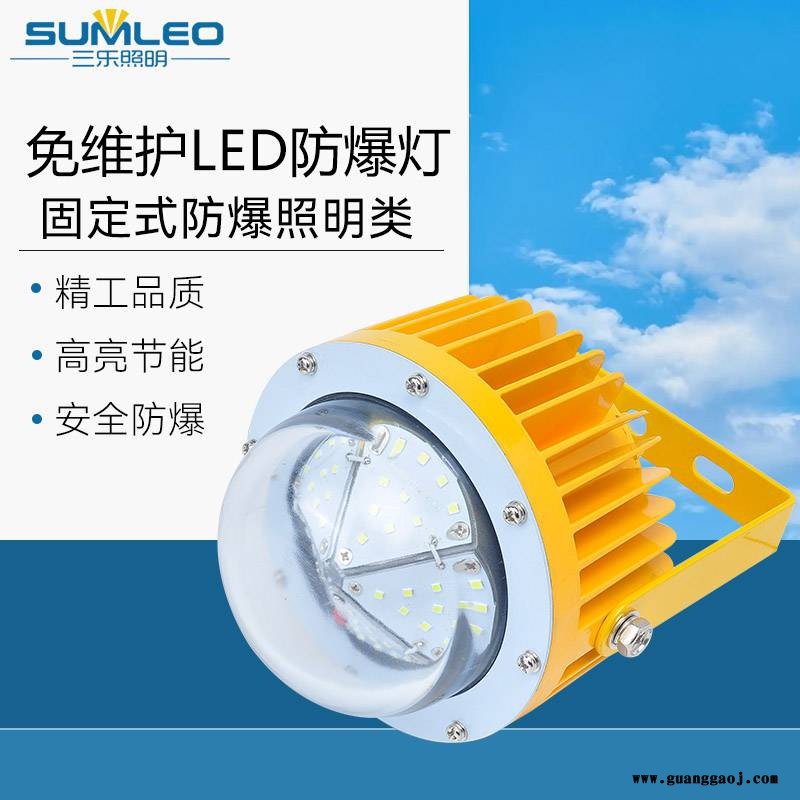 led防爆灯工厂应急照明灯 可定制 加油站防爆灯仓库泛光灯 防爆灯具图1