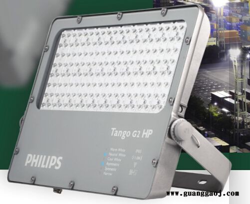 飞利浦LED泛光灯/投光灯TangoG2LEDBVP28140W80W120W图3