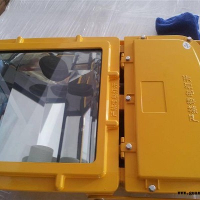 BFC8110防爆泛光灯 防爆灯具 强光投光灯 石油站台探照灯电厂灯
