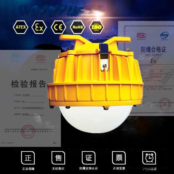 BPC8766防爆平台灯50W防爆灯加油站防爆灯防爆泛光灯图1