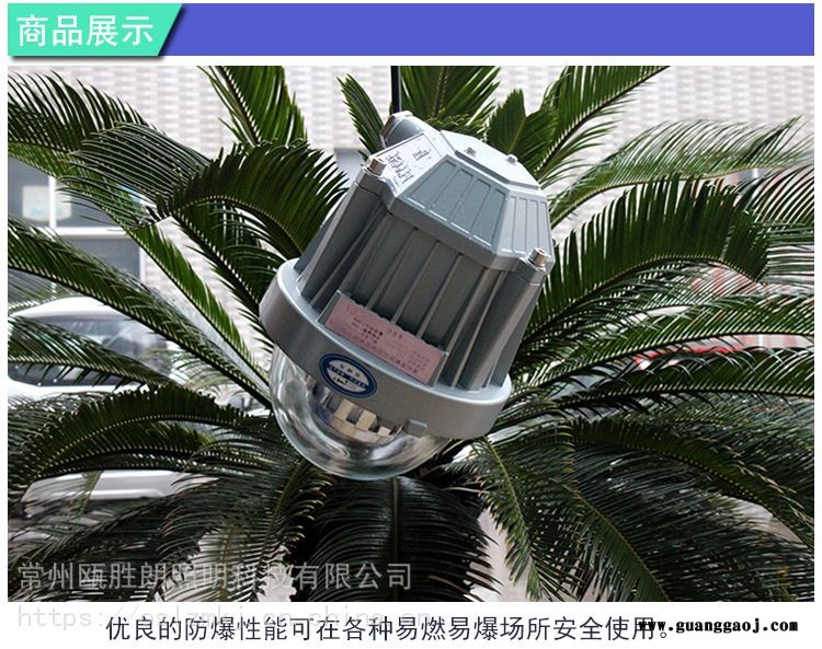 海洋王NFC9185LED防爆平台灯BPC8765免维护防爆灯48W防爆泛光灯厂家图3