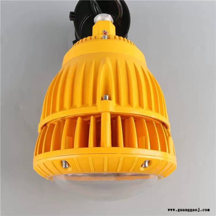 FGV1246LED免维护节能防爆泛光灯20W30W40W50W支架式立杆式安装图2