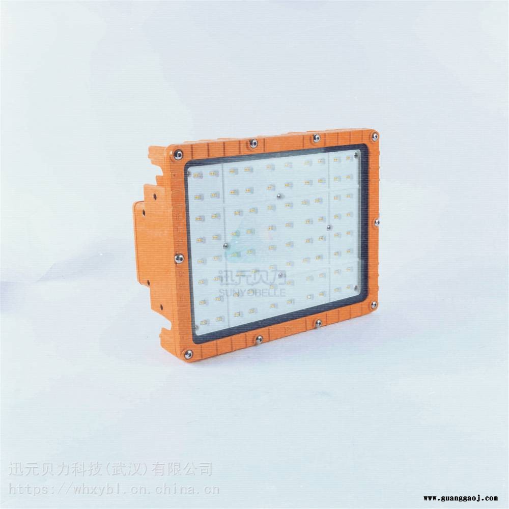 GB8035防爆泛光灯100W-GB8035防爆应急灯150W-GB8035防爆平台灯200W图2