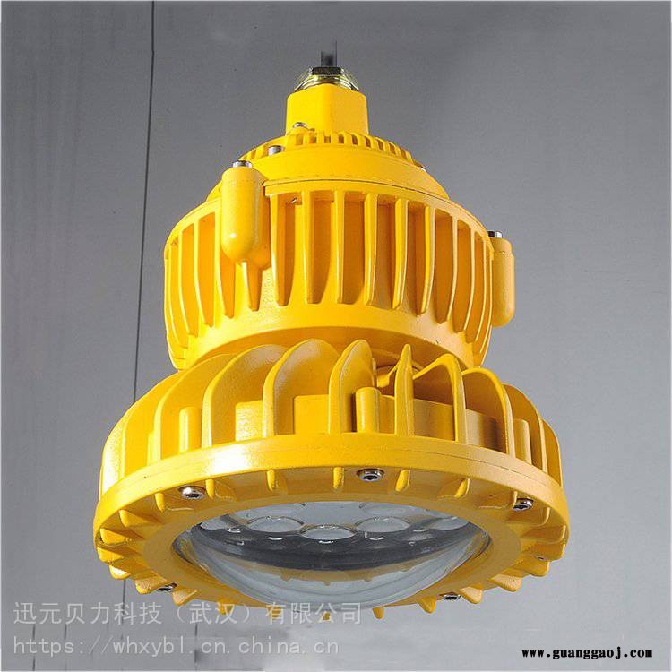 LED防爆泛光灯BLD202-60W圆形支架式图3