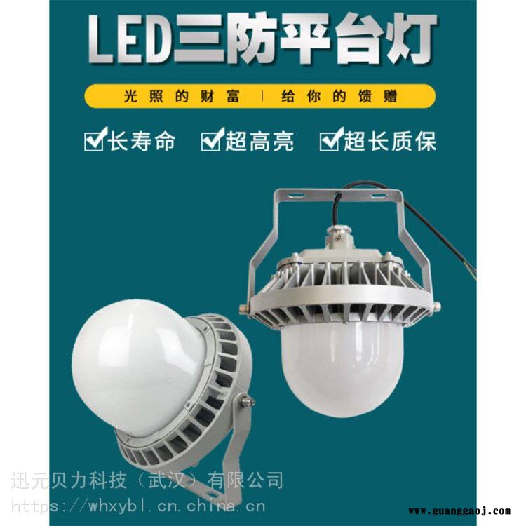 NFC9186-50W龙门吊防爆照明灯-NFC9186-80W运输皮带防爆泛光灯照明图3