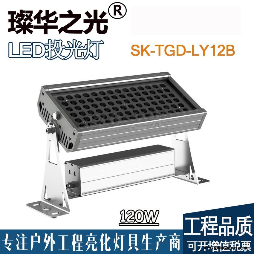 璨华照明SK-TGD-LY12方形投射灯高楼建筑桥梁远距离投光灯图2