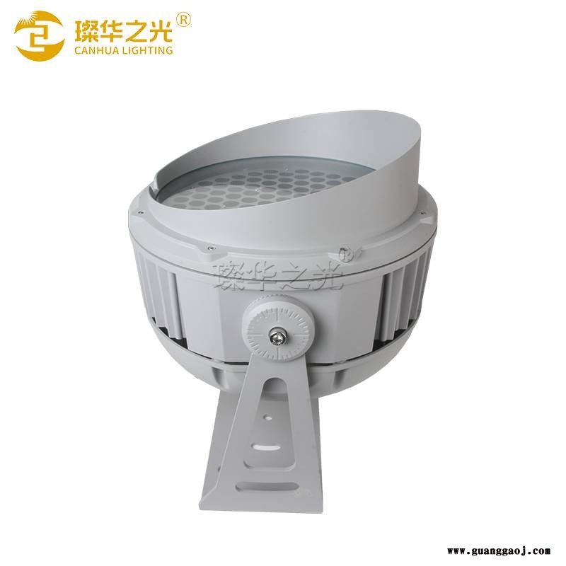 LED投光灯户外大功率圆形投射灯楼宇山体公园RGB照树灯图3