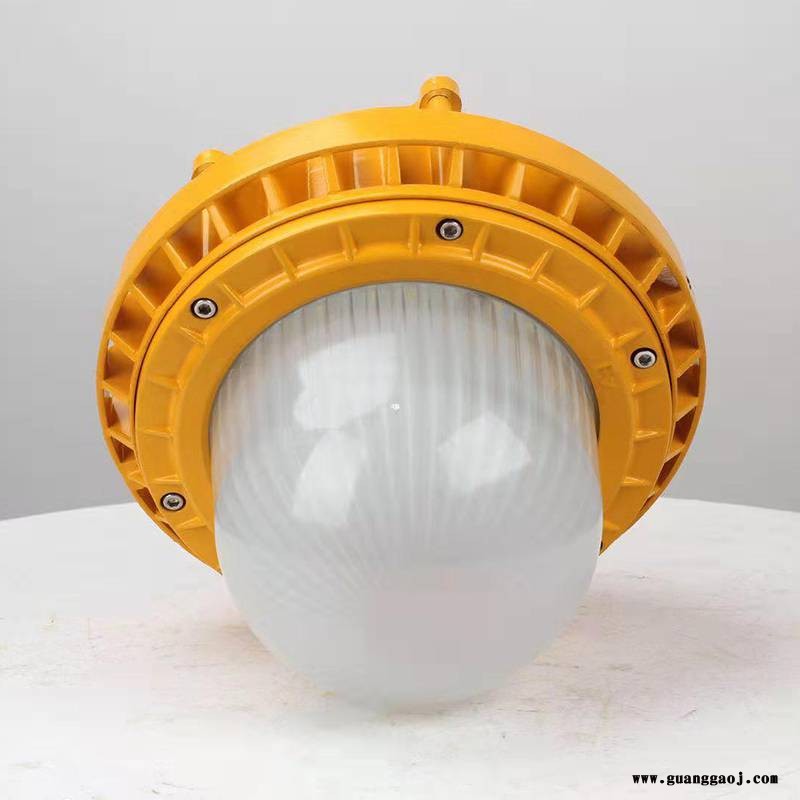 EX防爆led投光灯60W 特殊场所照明灯图2