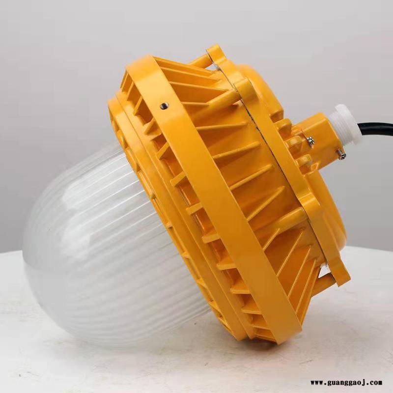 EX防爆led投光灯60W 特殊场所照明灯图1