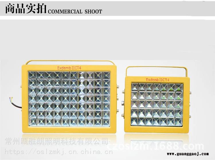 节能免维护LED防爆泛光灯油站化工仓库轮船LED防爆吸顶灯100w厂家图2
