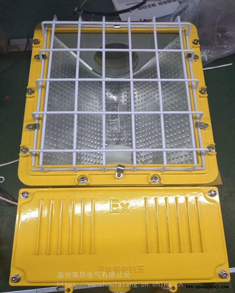 BFD610BFD610防爆泛光灯图3