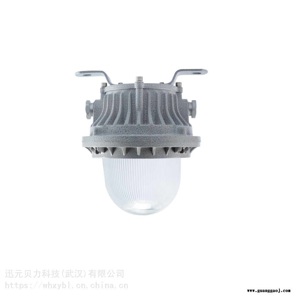 BFC8183-20W电磁干扰间LED小功率防爆泛光灯BFC8183图2