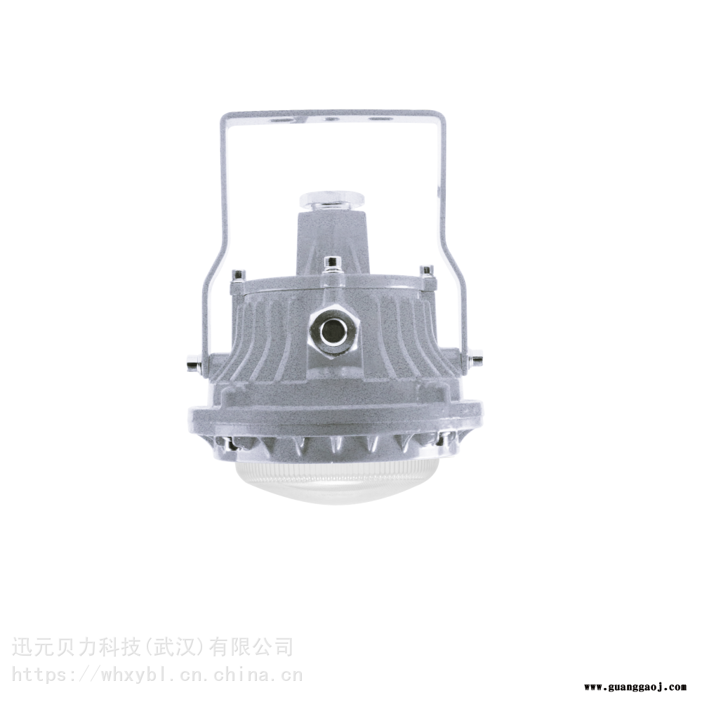 BFC8183-20W电磁干扰间LED小功率防爆泛光灯BFC8183图1