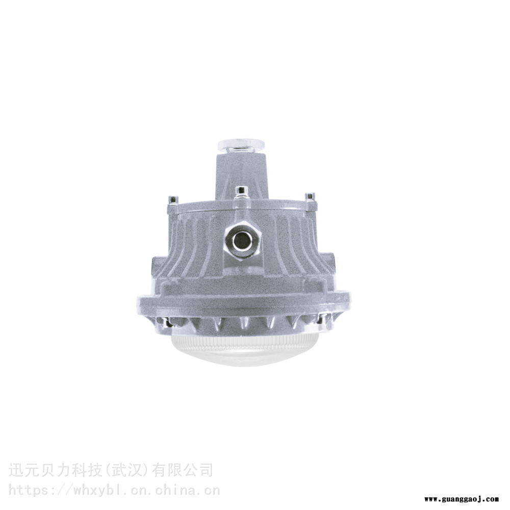 BFC8183-20W电磁干扰间LED小功率防爆泛光灯BFC8183图3