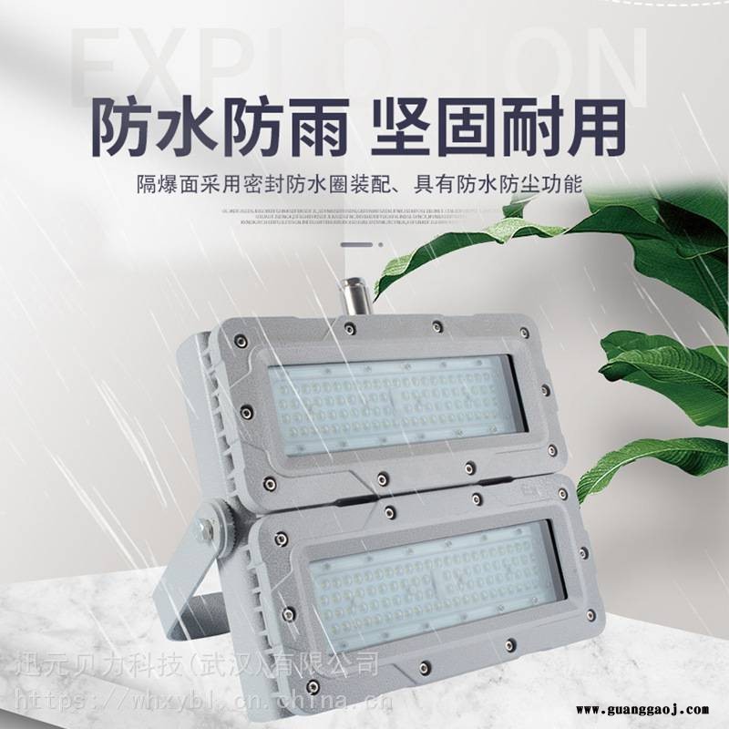 SZSW7350-SZSW7350铝合金防爆模组灯400W防爆泛光灯图2
