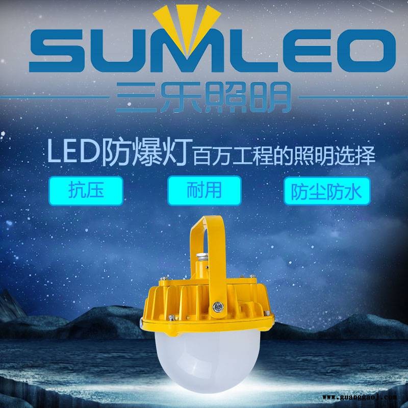 三乐照明 免维 节能LED防爆灯隔爆型泛光灯户外车间厂房工业灯图3
