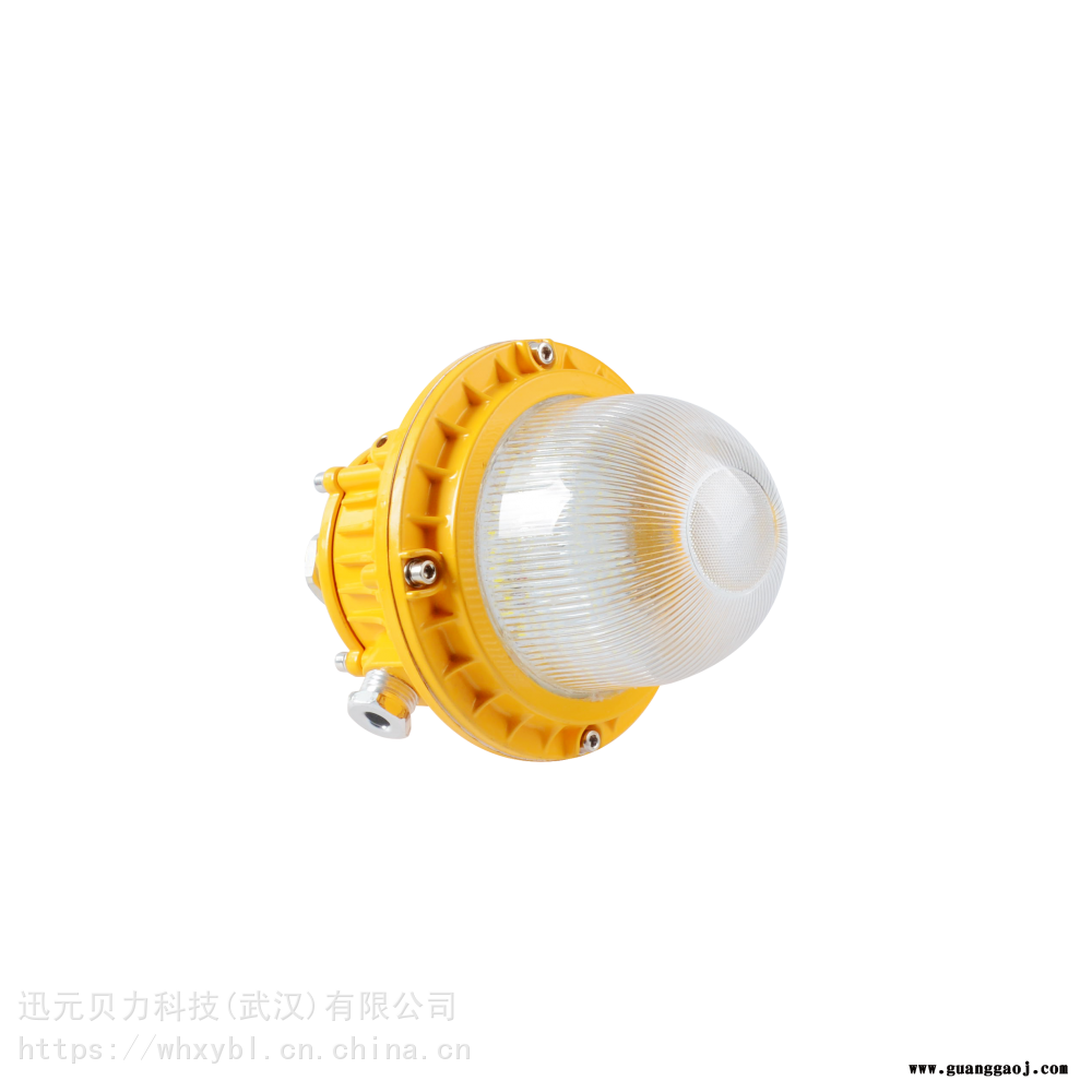 中纲原材料车间10W20W30W50W支架式防爆应急泛光灯图3