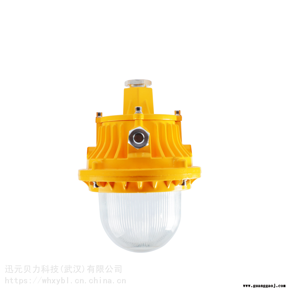 中纲原材料车间10W20W30W50W支架式防爆应急泛光灯图1