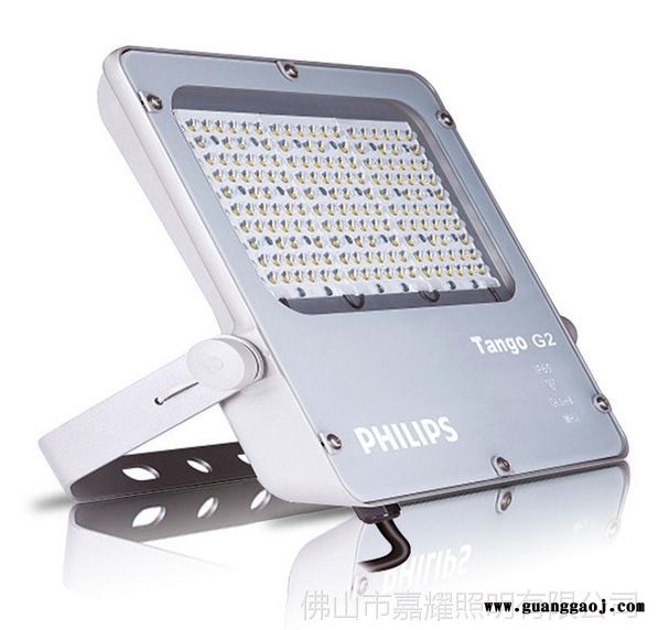 飞利浦LED泛光灯经济型投光灯120/80/40W泛光照明灯具BVP281图1