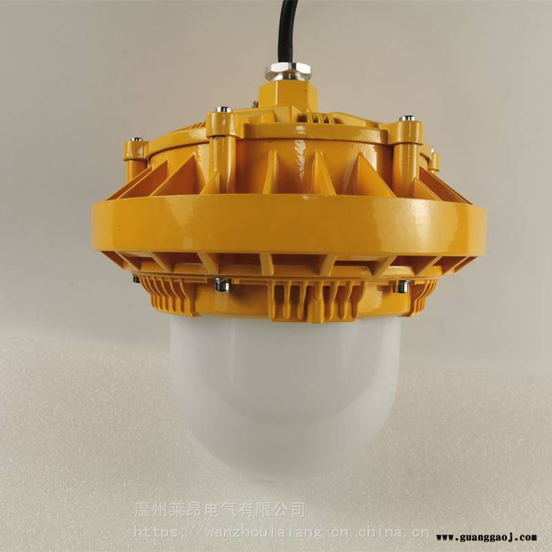 GB8050_防爆泛光灯GB8050-48WLED防爆灯图2