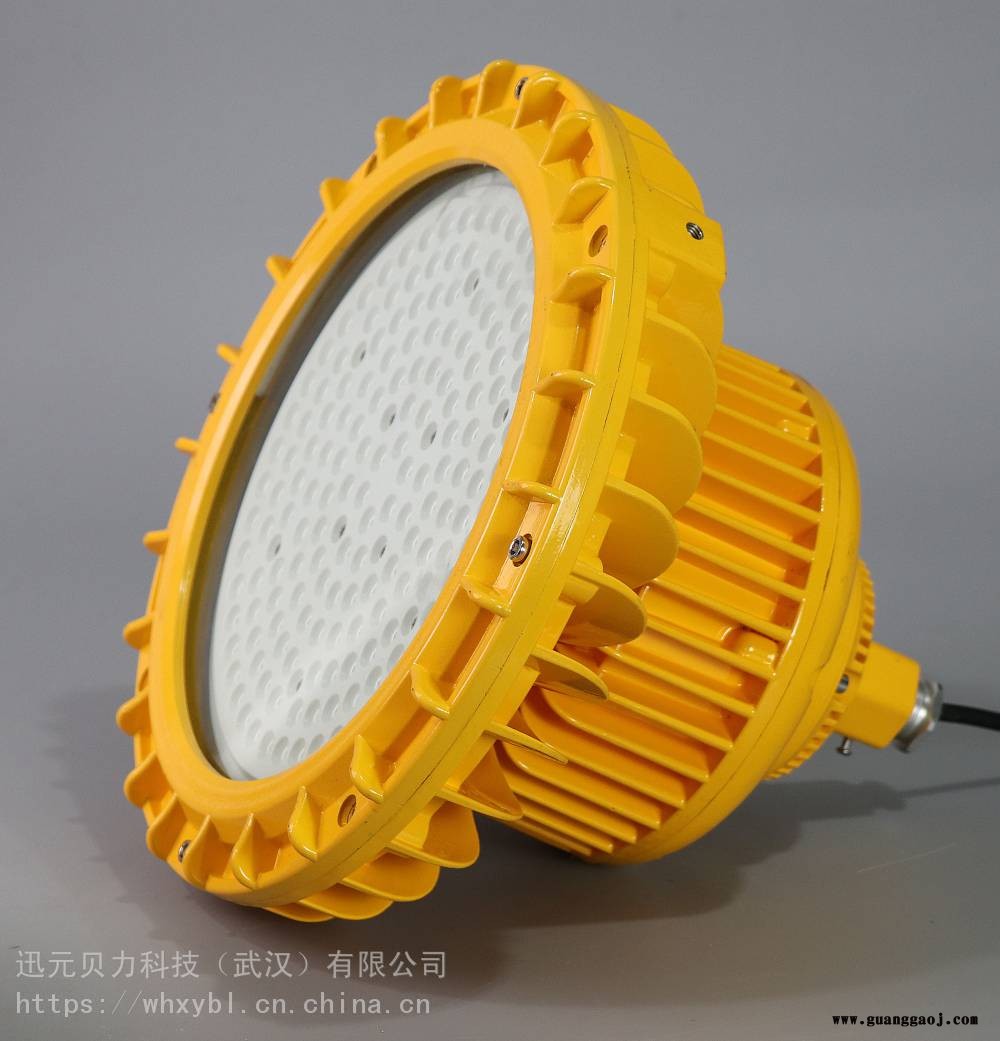 FGV6216，FGV6216防爆泛光灯FGV6216，FGV6216免维护节能灯图3