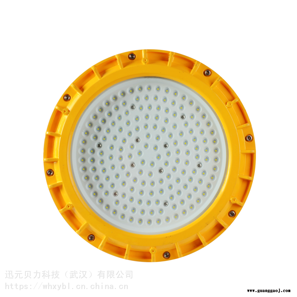 FGV6216，FGV6216防爆泛光灯FGV6216，FGV6216免维护节能灯图1