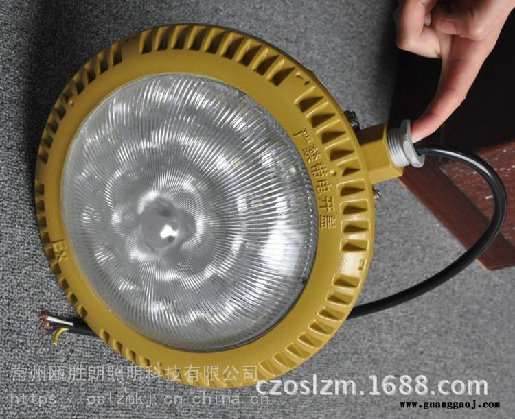 LED防爆灯20W免维护防爆投光灯LED圆盘吸顶灯防水防尘防爆灯厂家图2