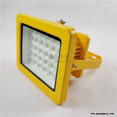 定力防爆免维护 节能led防爆泛光灯50W60W