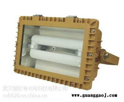 SBD1109免维护节能防爆泛光灯电磁感应灯120W150W图1