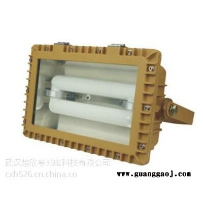 SBD1109免维护节能防爆泛光灯电磁感应灯120W150W
