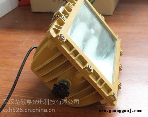 SBD1109免维护节能防爆泛光灯电磁感应灯120W150W图2