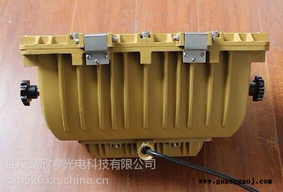 SBD1109免维护节能防爆泛光灯电磁感应灯120W150W图3