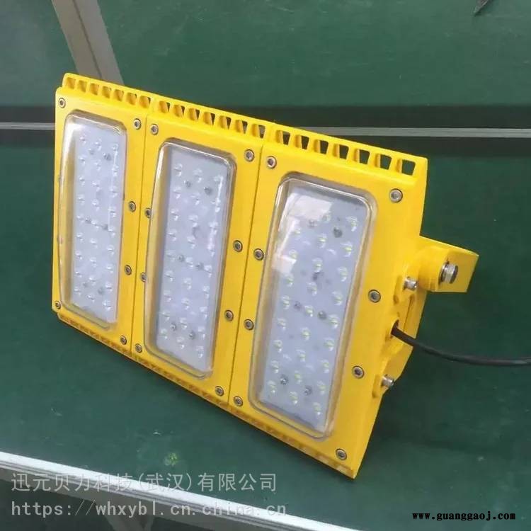 SZSW7350-100W廊道通道防爆泛光灯-SZSW7350-200W图3