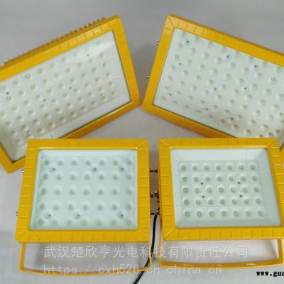 热电厂LED防爆灯200W300WLED防爆投光灯100WLED防爆灯