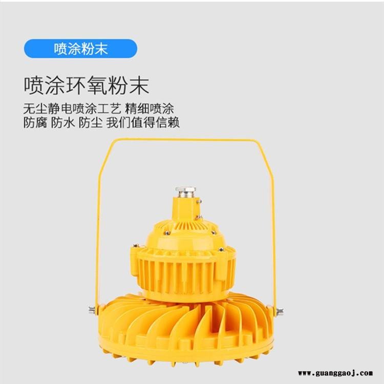 尚为SZSW8135隔爆型led防爆灯加油站投光灯50W100W图2