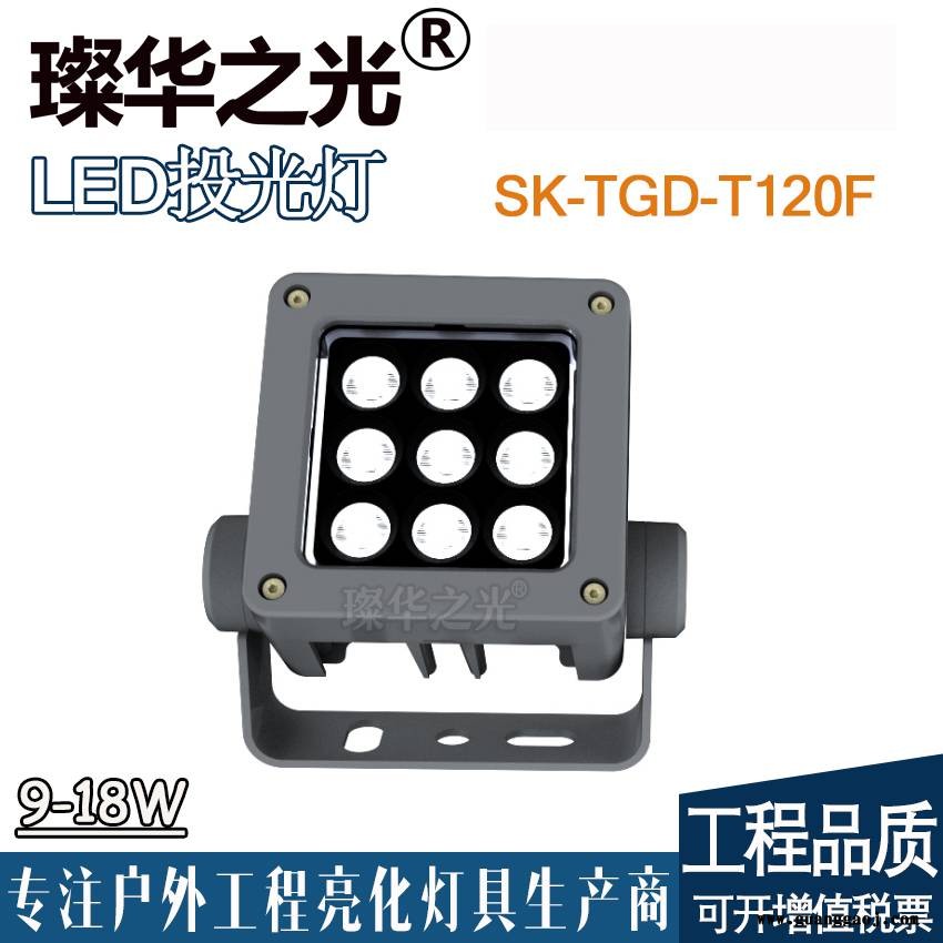 璨华照明SK-TGD-T120F方形投光灯led投射灯户外景观照树灯图2