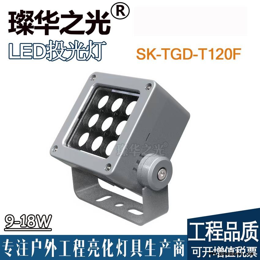 璨华照明SK-TGD-T120F方形投光灯led投射灯户外景观照树灯图1