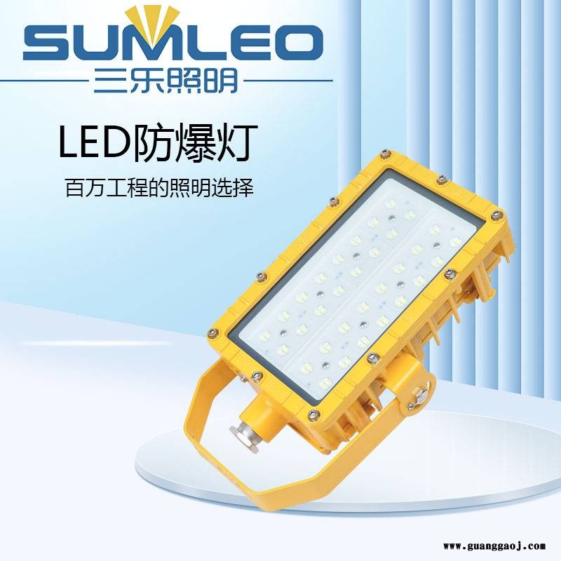 LED防爆灯工地应急照明灯防水泛光灯厂仓库照明灯厂房投光灯图1