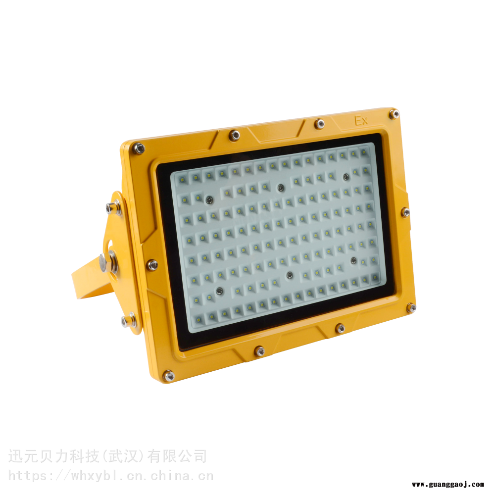BLD201-200W加气站方形防爆投光灯BLD201图2