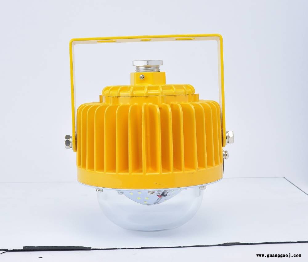LED防爆灯加油站100w室外投光灯仓库厂房户外照明探照灯防水射灯图2